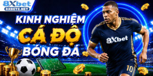 kinh nghiệm cá độ bóng đá và quản lý vốn đúng cách nhất
